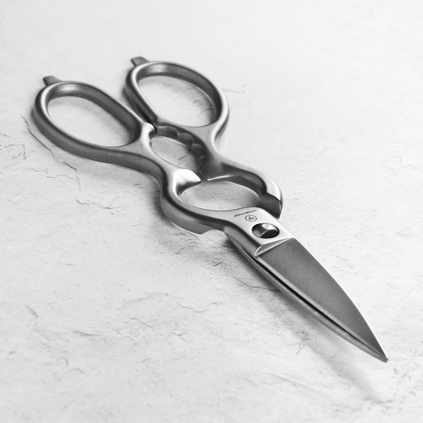 Wusthof Brushed Stainless Steel Come-Apart Kitchen Shears