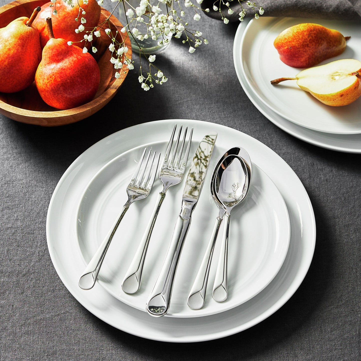 Zwilling Provence 45 Piece Stainless Steel Flatware Set