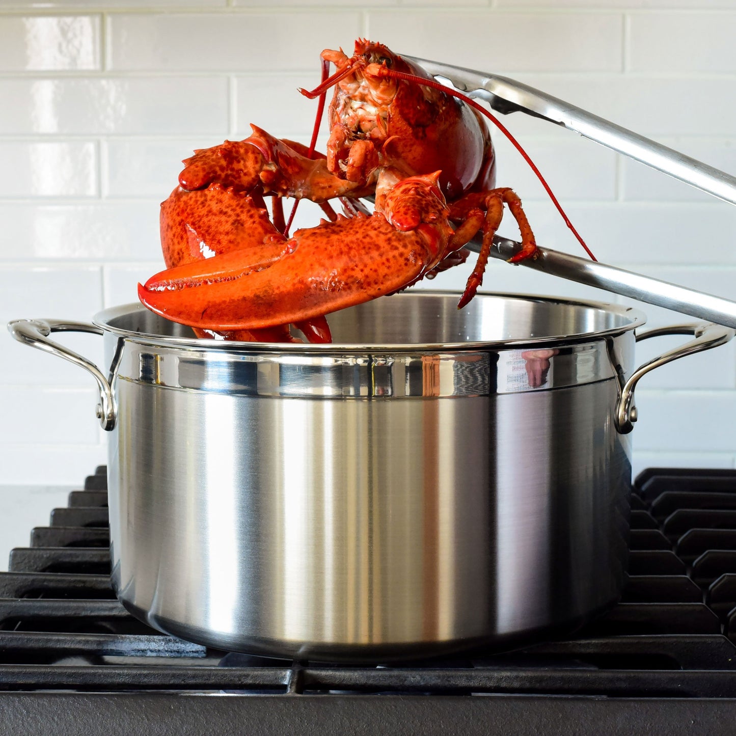 Hestan ProBond 8-quart Stainless Steel Stock Pot