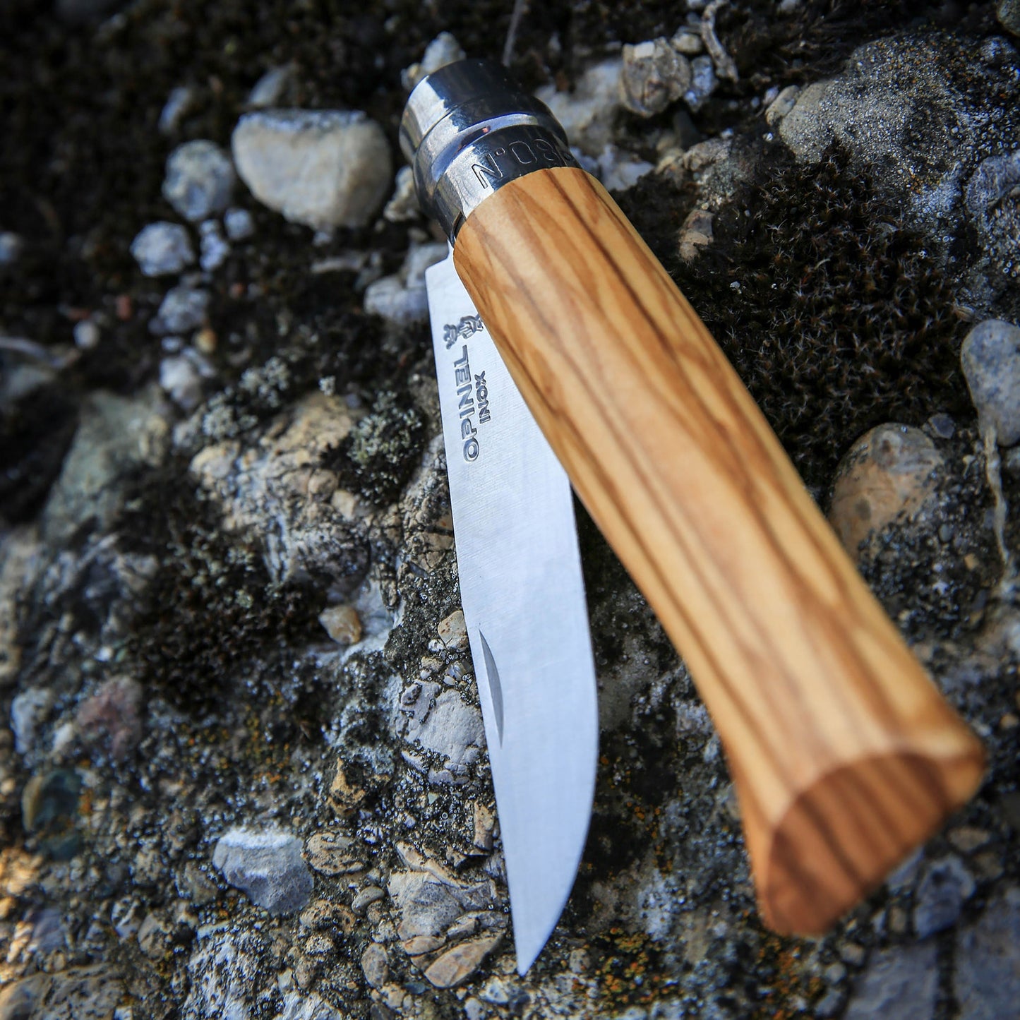 Opinel No. 8 Olive Wood Handle Stainless Folding Knife with Sheath