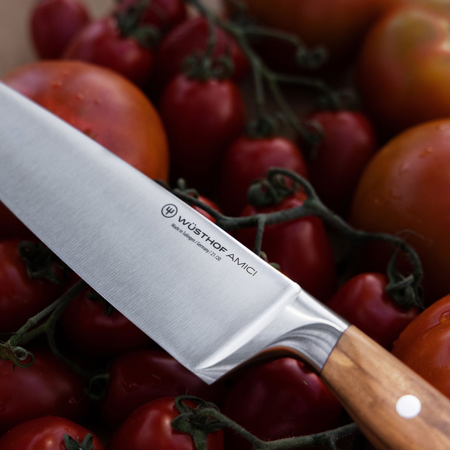 Wusthof Amici 8" Chef's Knife