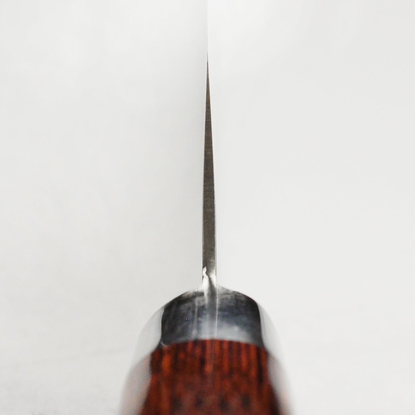 Takayuki Hammered Damascus 7" Santoku