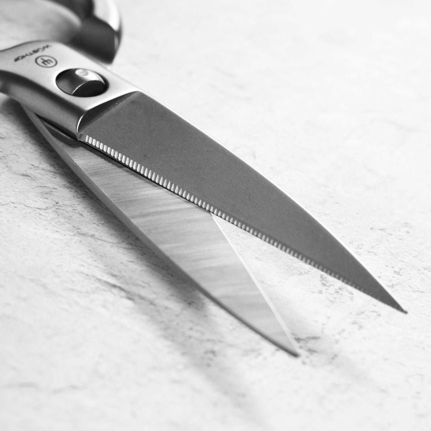 Wusthof Brushed Stainless Steel Come-Apart Kitchen Shears