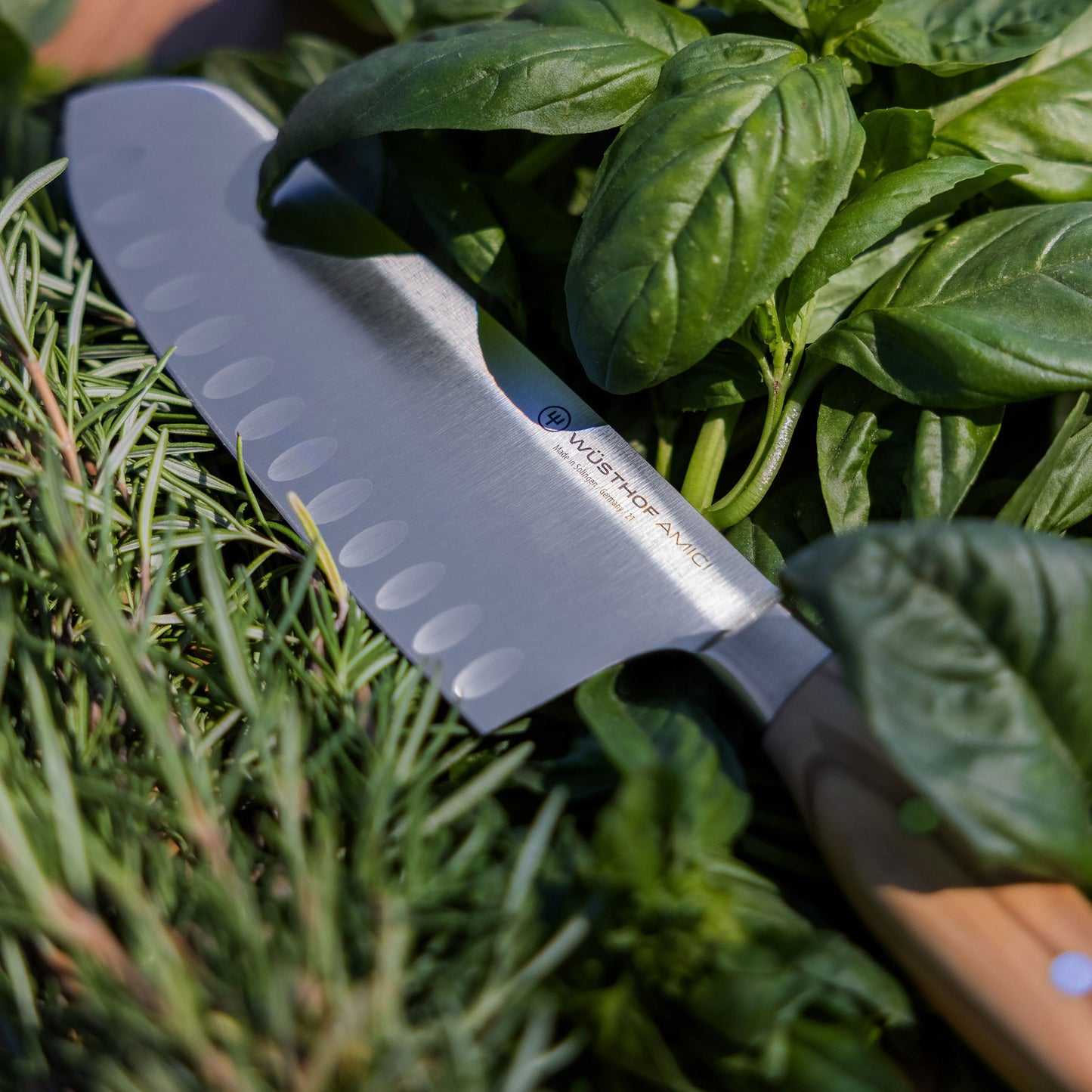 Wusthof Amici 7" Hollow Edge Santoku Knife
