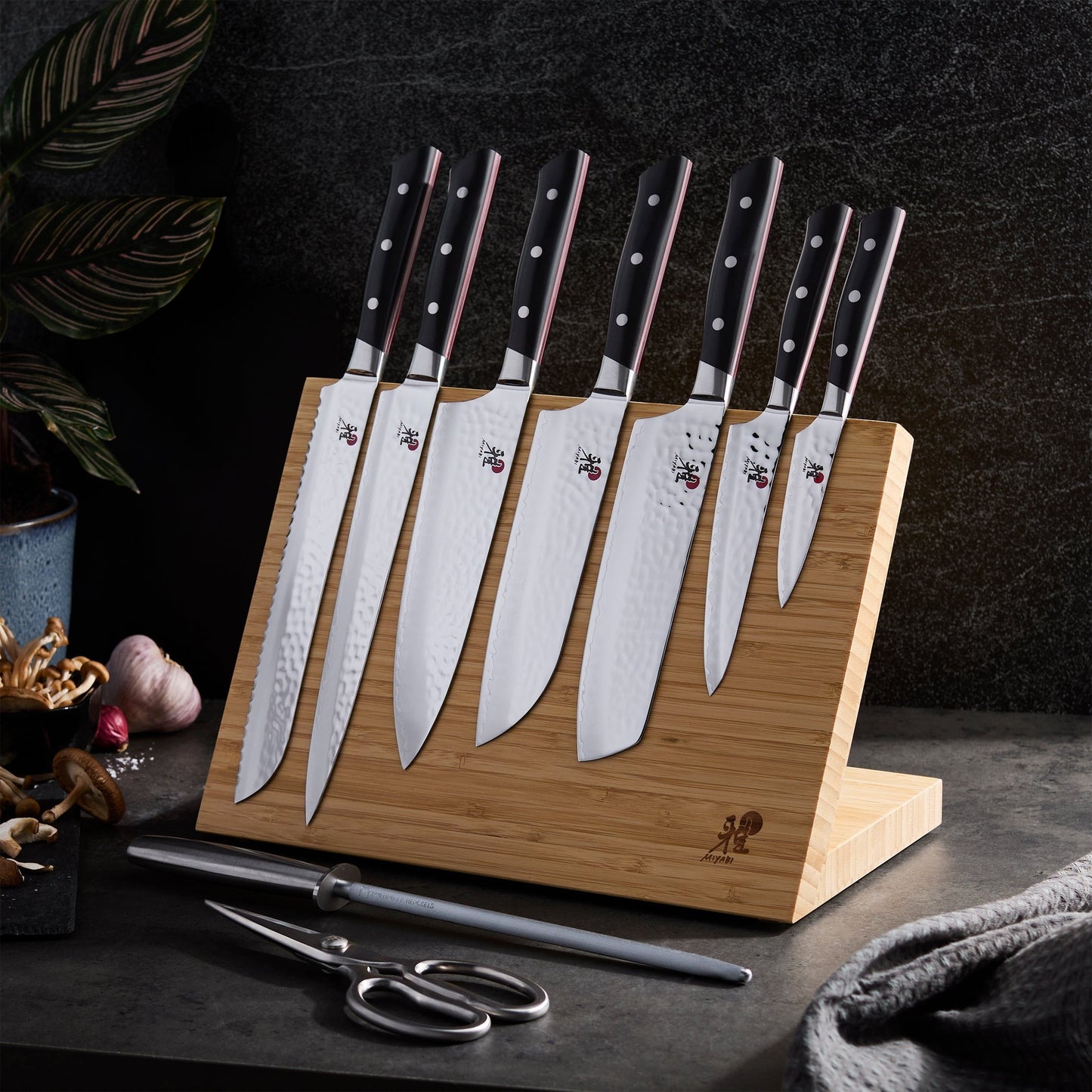 Miyabi Hisho 10 Piece Magnetic Easel Knife Block Set