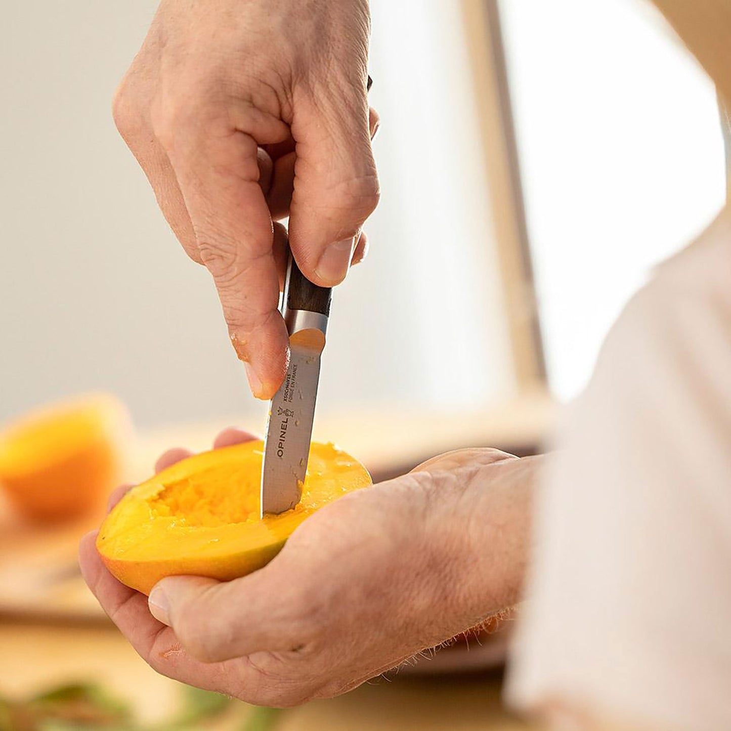 Opinel Forged 1890 3" Paring Knife