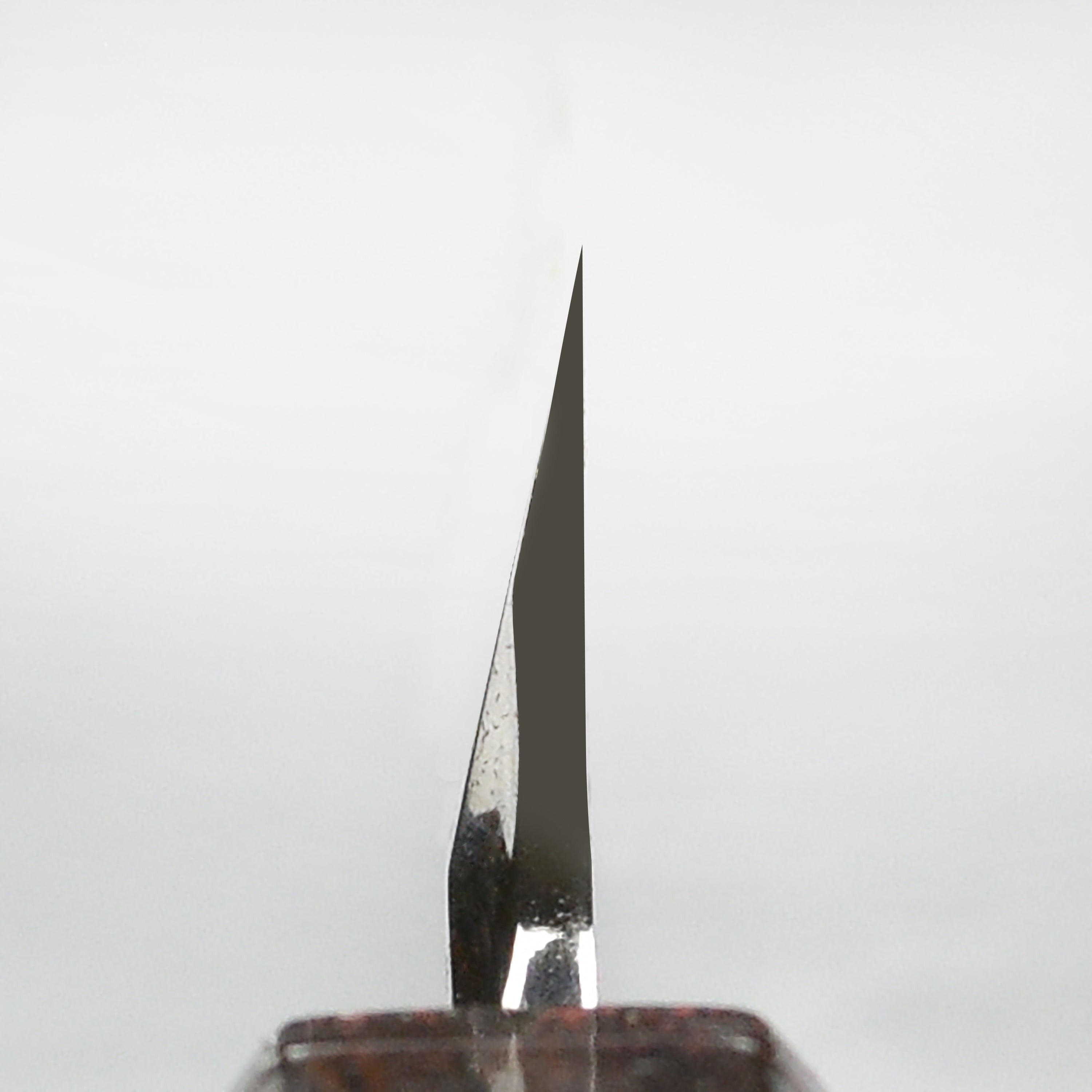 Takayuki Shiden Ginsan Single-Bevel 10.6" Kengata Yanagiba
