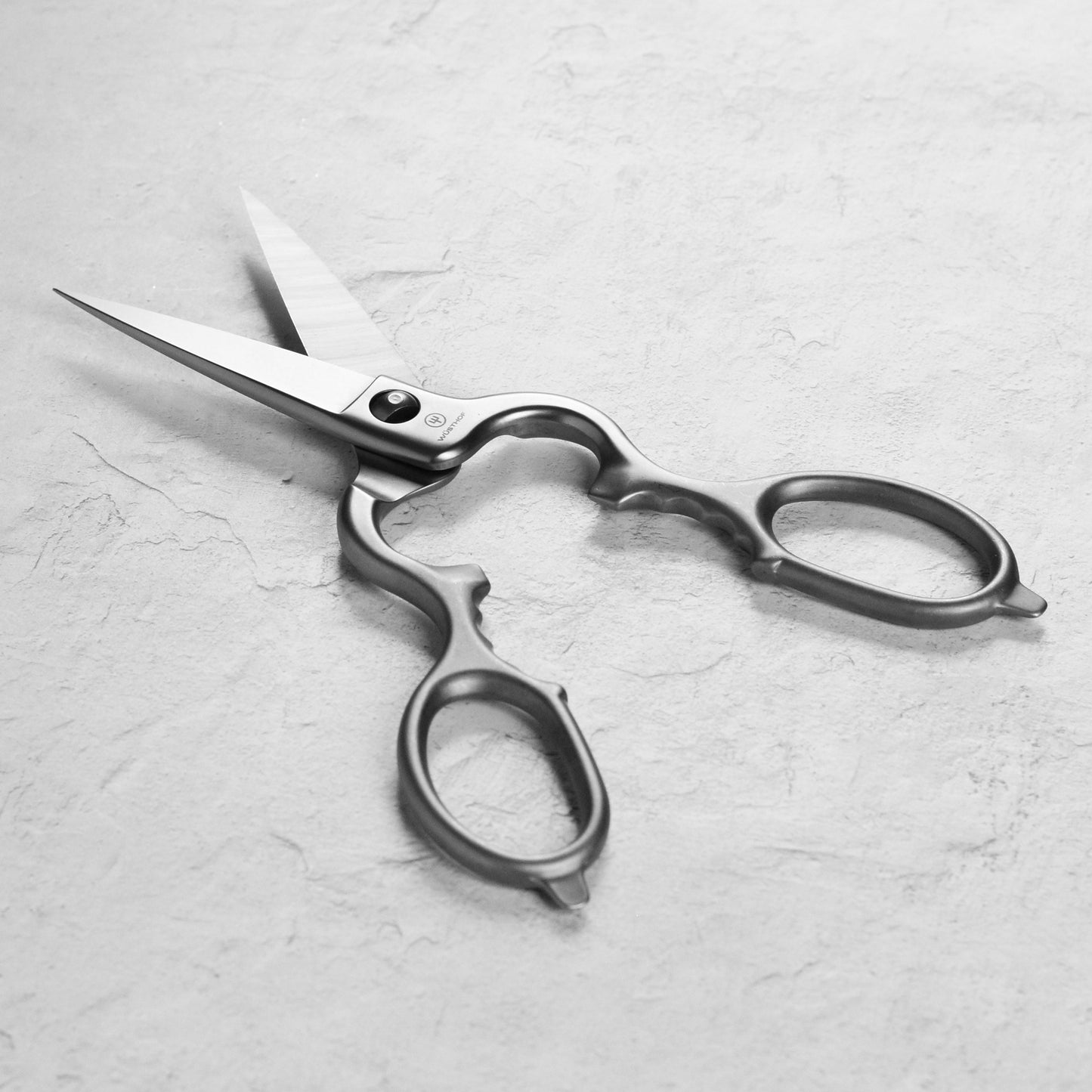 Wusthof Brushed Stainless Steel Come-Apart Kitchen Shears