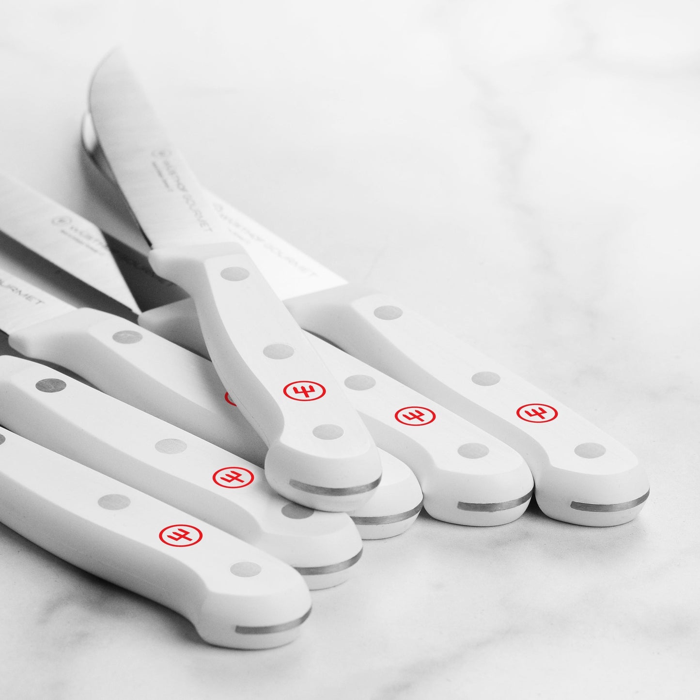 Wusthof Gourmet 6 Piece Steak Knife Set with Case, White Handles