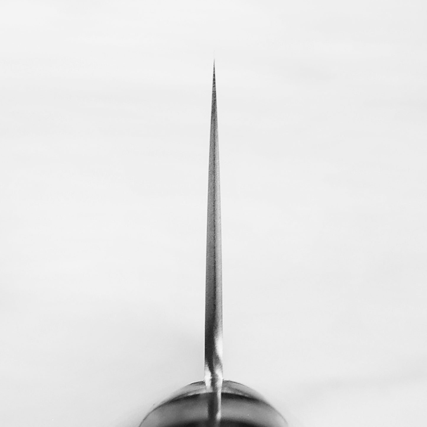 Takamura VG10 Migaki 6.7" Santoku