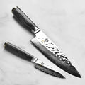 Shun Premier Grey Chef's & Paring Knife Set