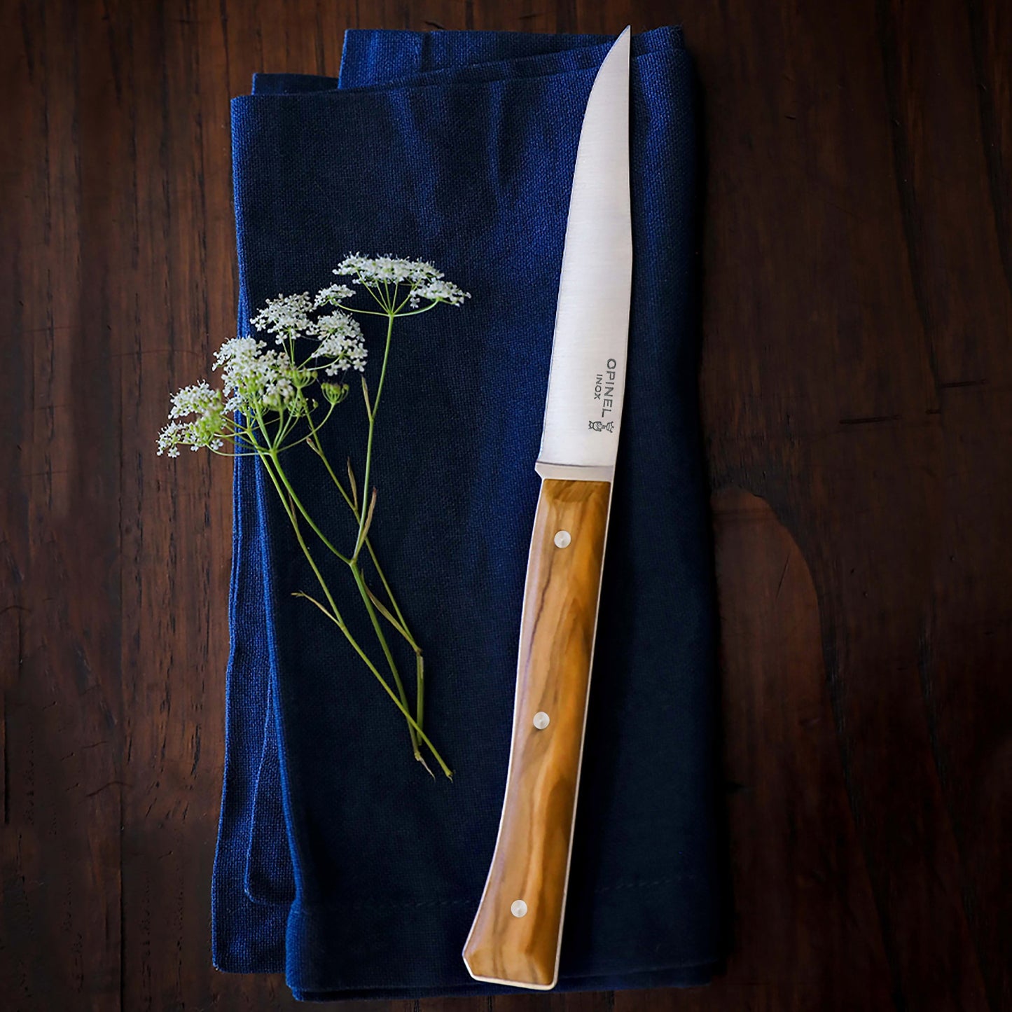 Opinel 4 Piece Olive Wood Facette Steak Knife Set