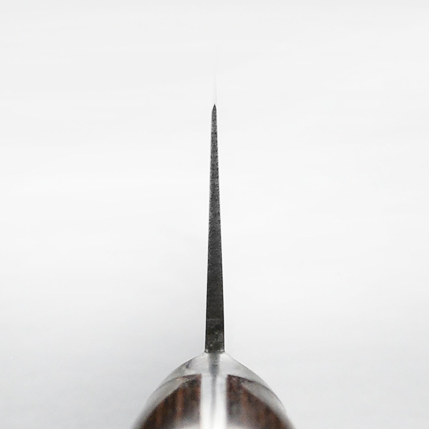 Takayuki Aogami #2 Mono Carbon Steel 8.25" Gyuto