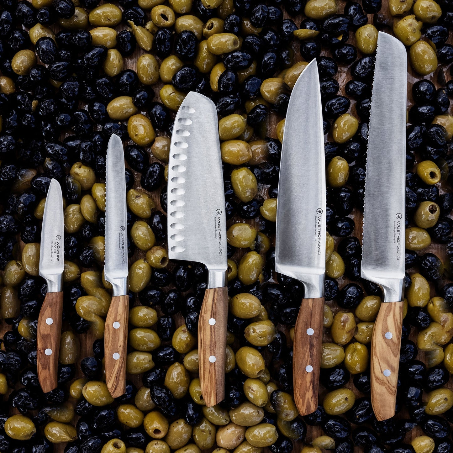 Wusthof Amici 6 Piece Knife Block Set