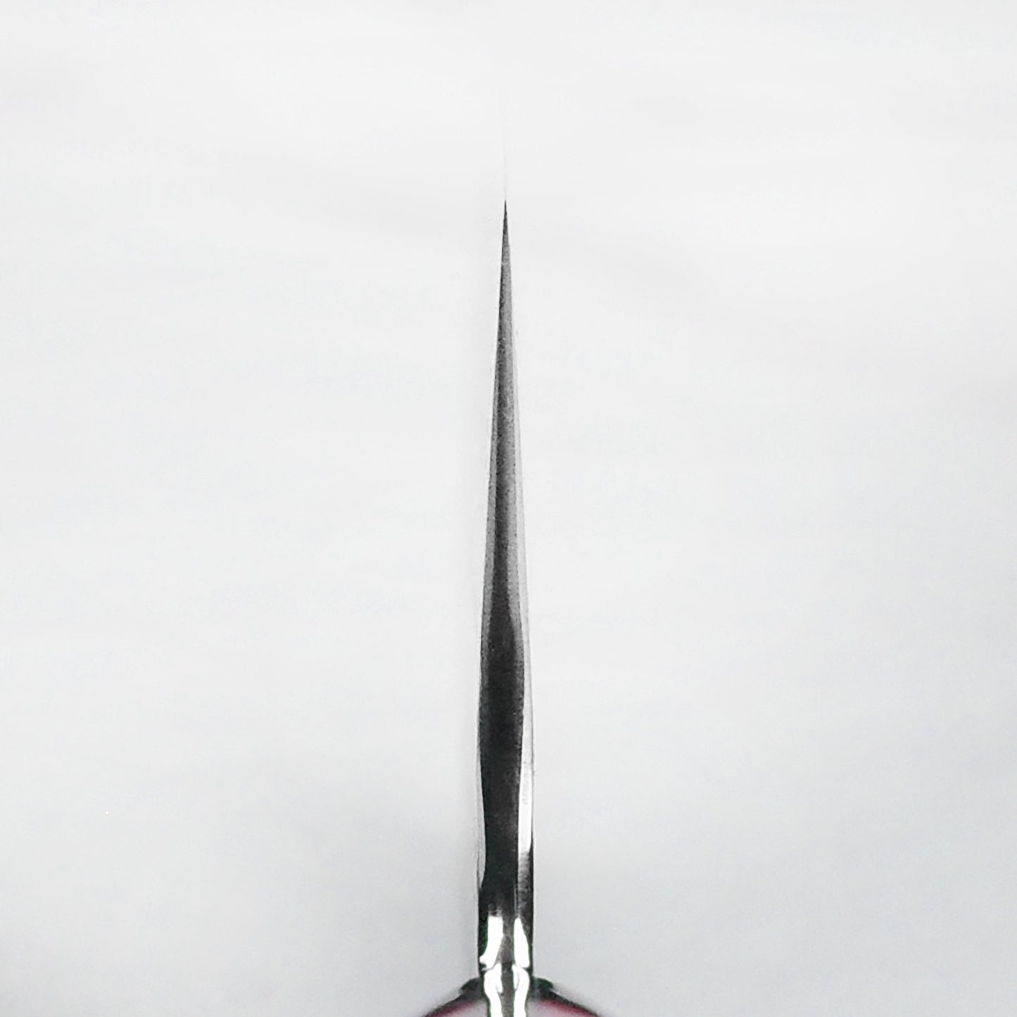 Nigara SG2 Migaki Tsuchime 8.25" Gyuto, Crimson Acrylic