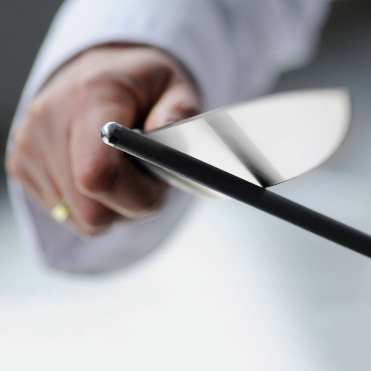 Wusthof Classic Ikon Creme 10" Premium Honing Steel