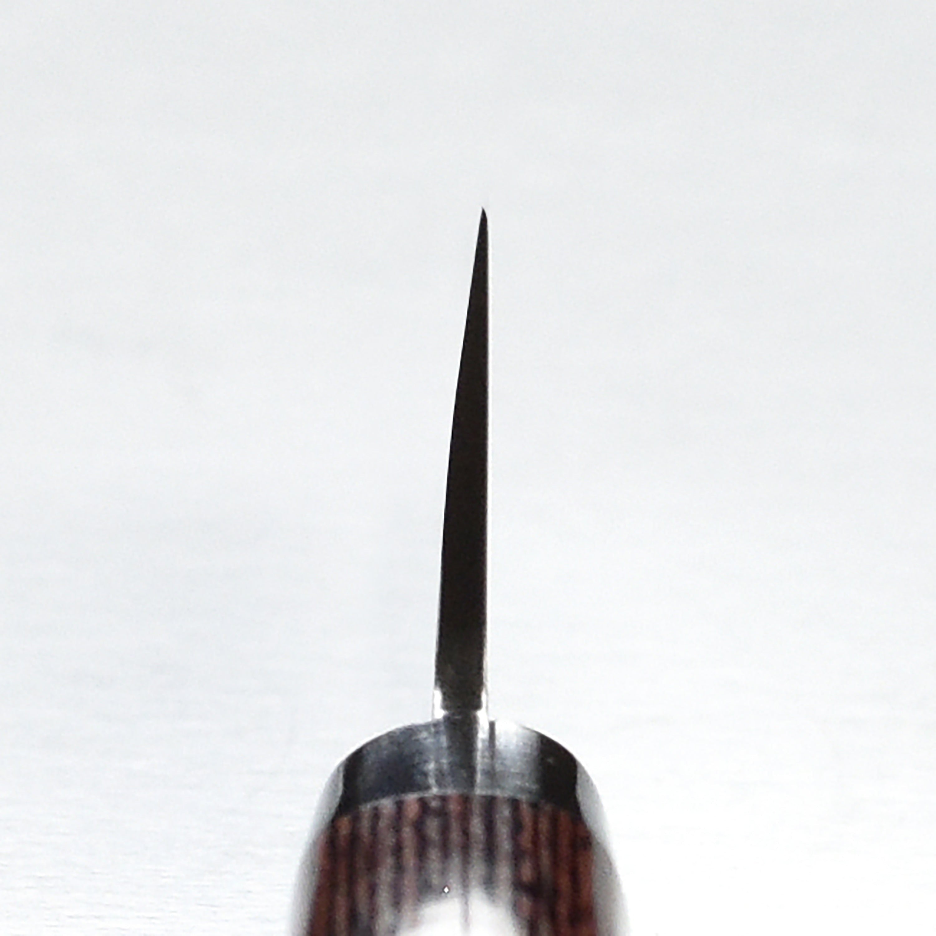 Takayuki Hammered Damascus 5.9" Honesuki