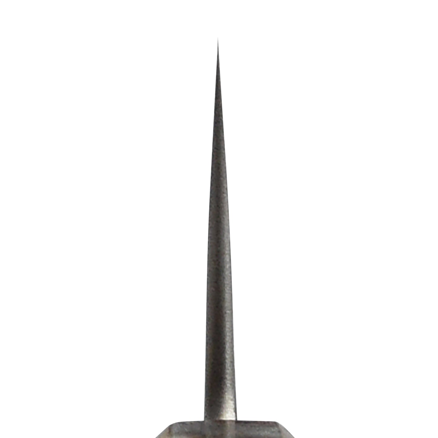 Yoshikane Shirogami #2 Kurouchi Stainless Clad 8.25" Kiritsuke, Stabilized Birch