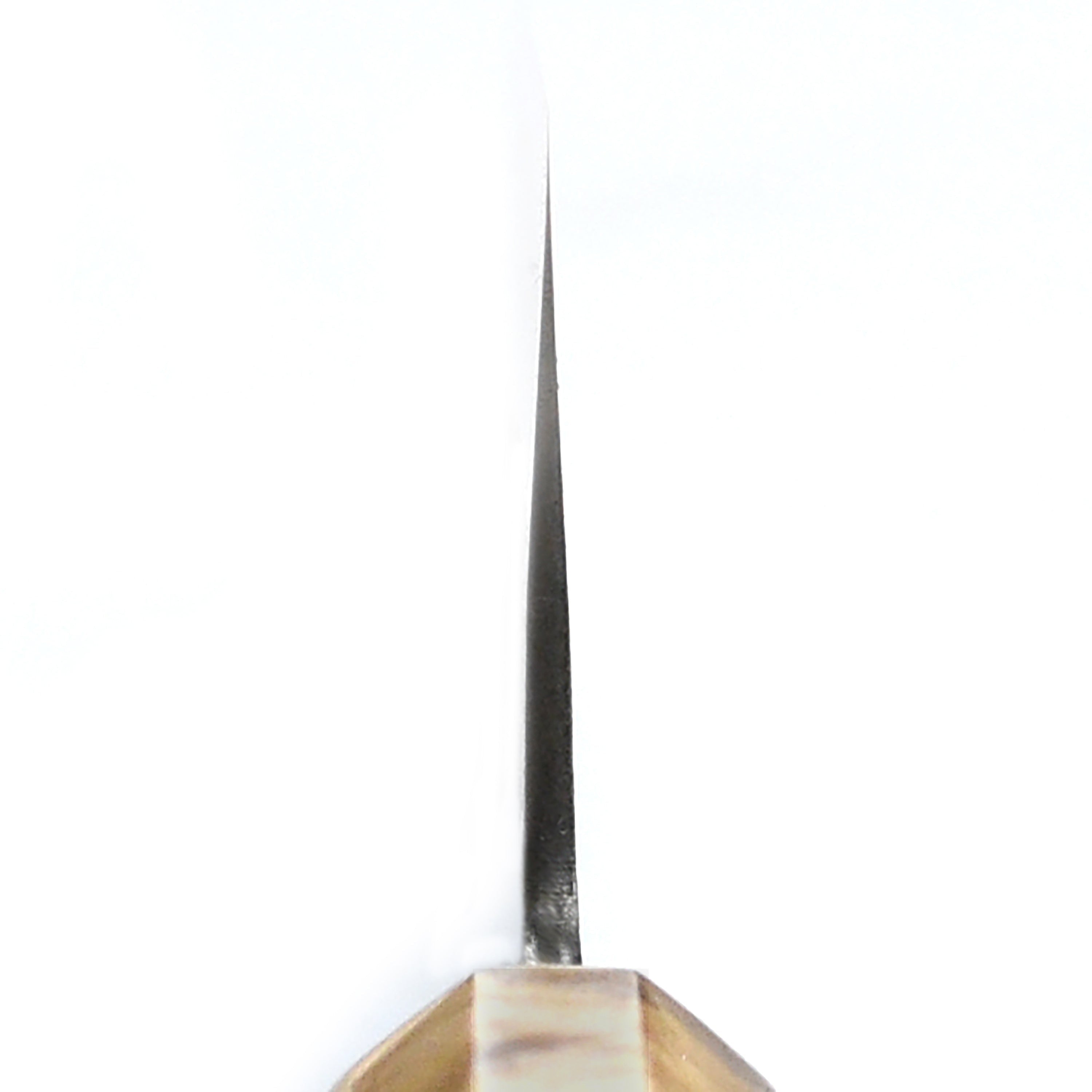 Hozan Tomoe x Hinoura Shirogami #2 Kurouchi 8.25" Gyuto