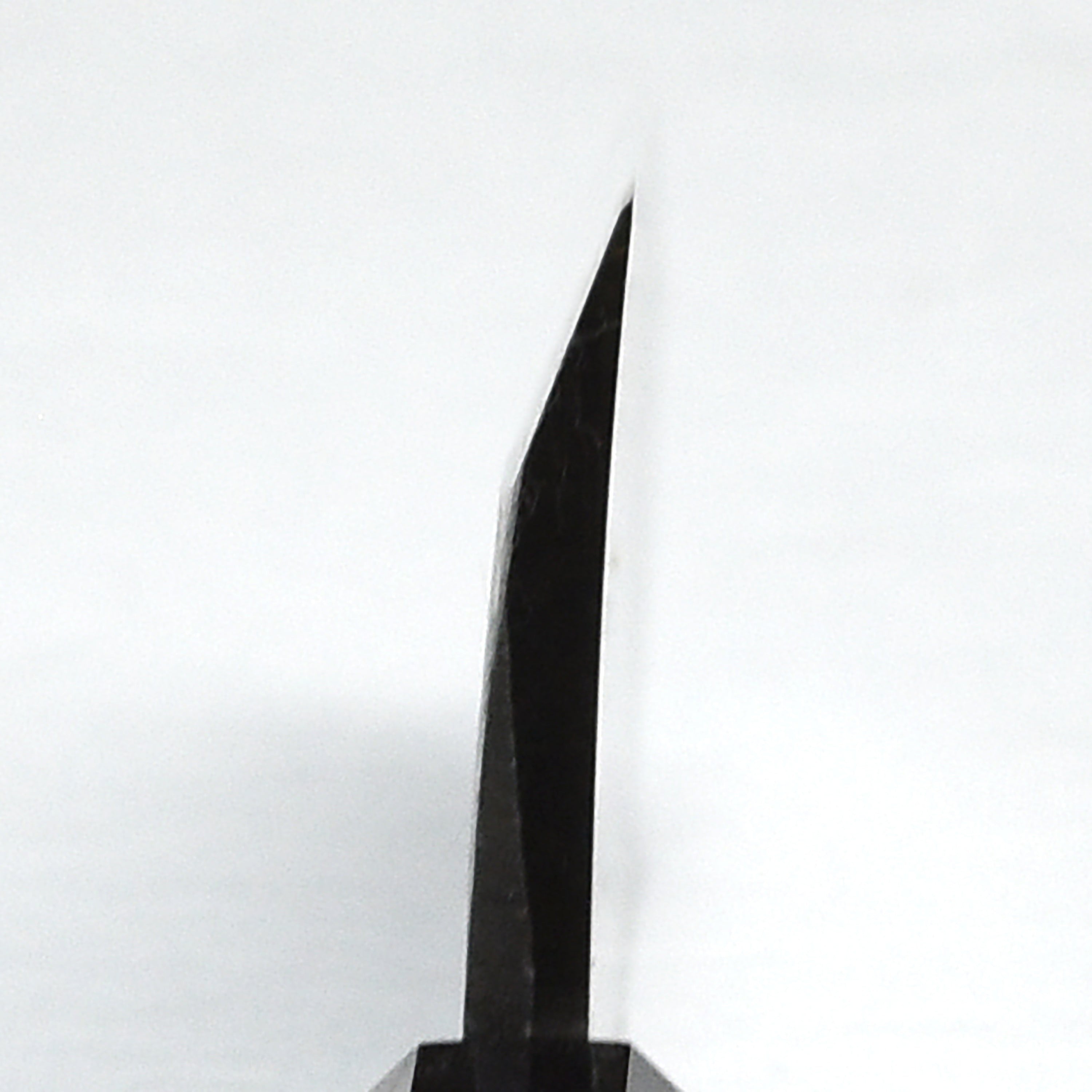 Hatsukokoro Shirasagi Aogami #2 Kurouchi 5.9" Single-Bevel Deba