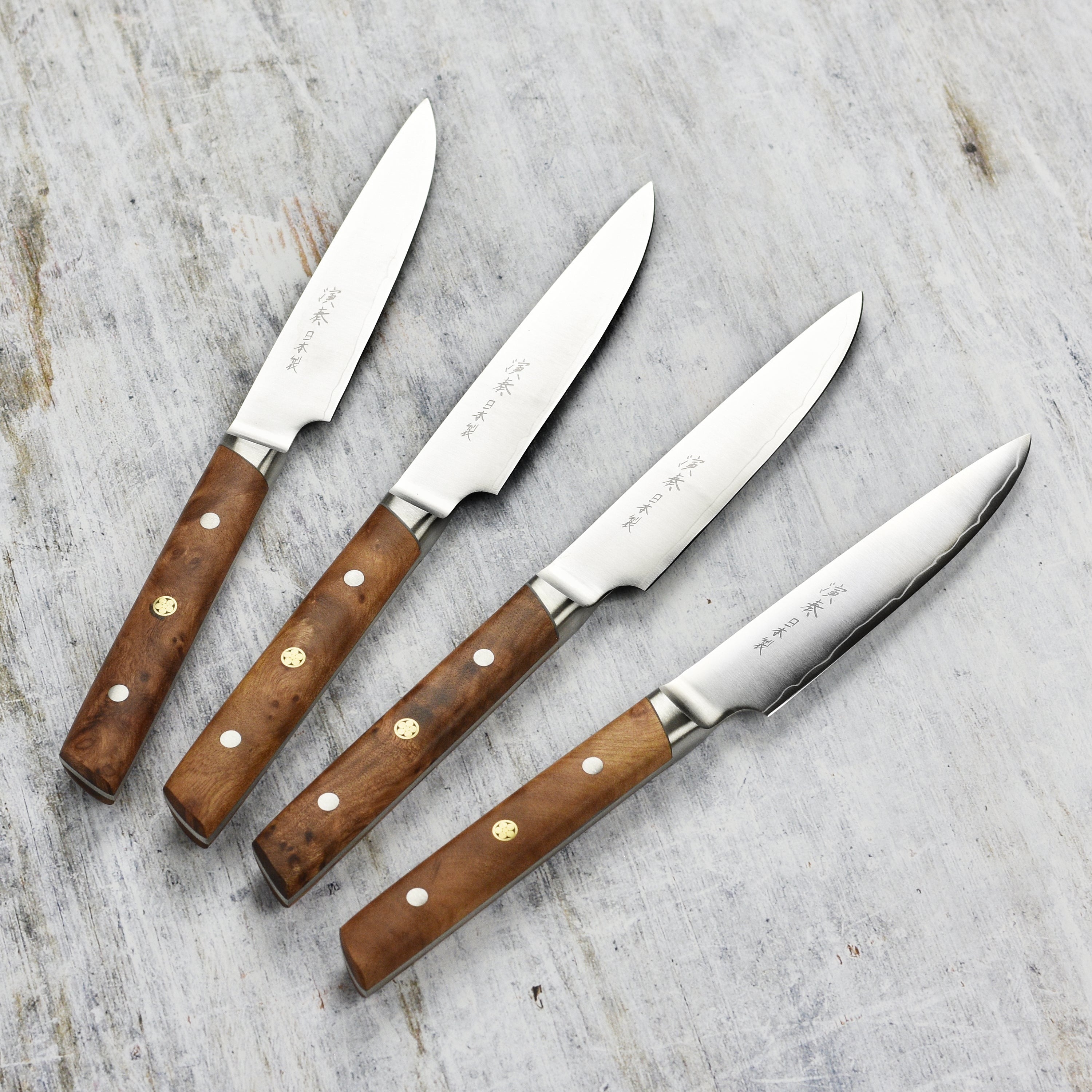 Enso Modern 4 Piece Steak Knife Set, Birchwood