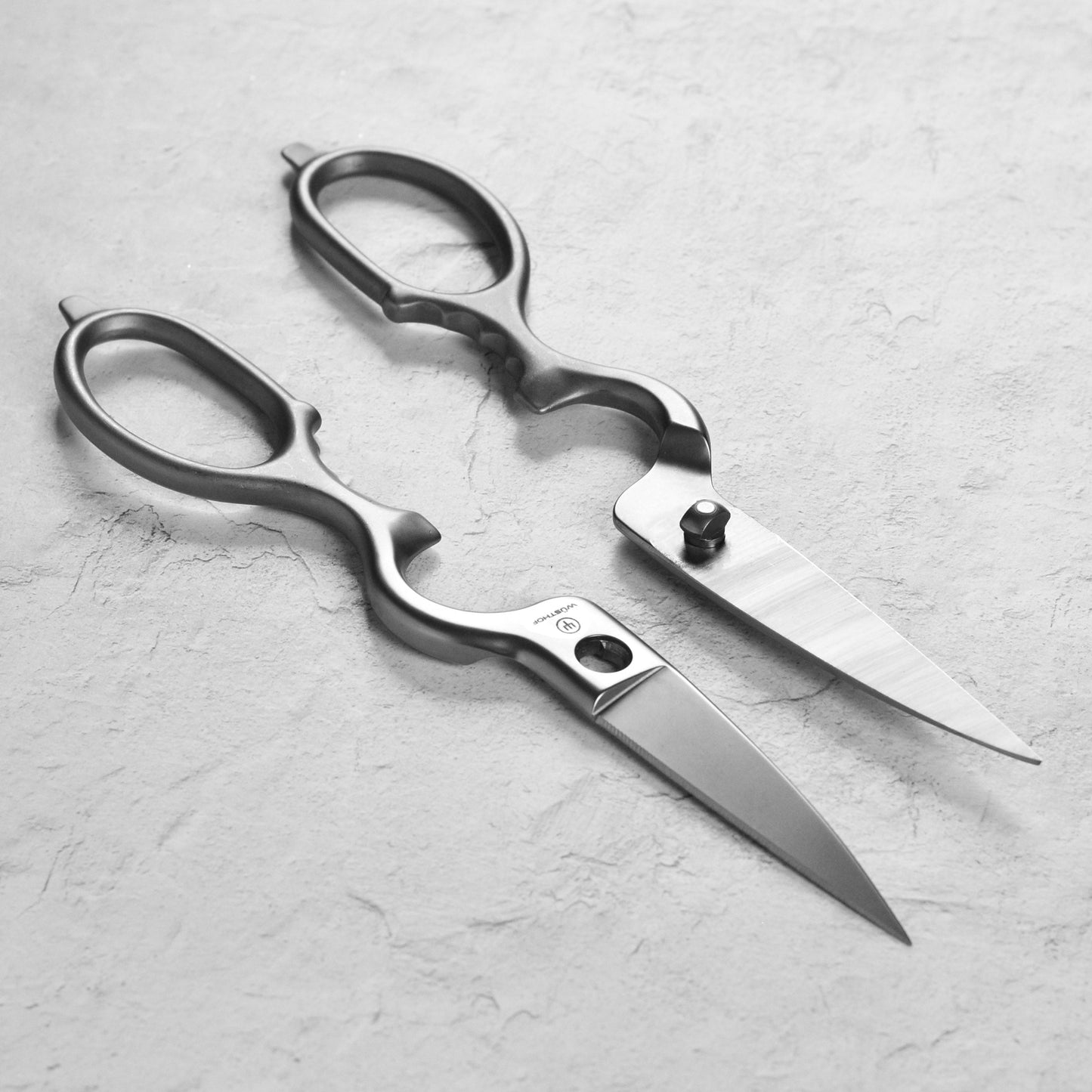 Wusthof Brushed Stainless Steel Come-Apart Kitchen Shears