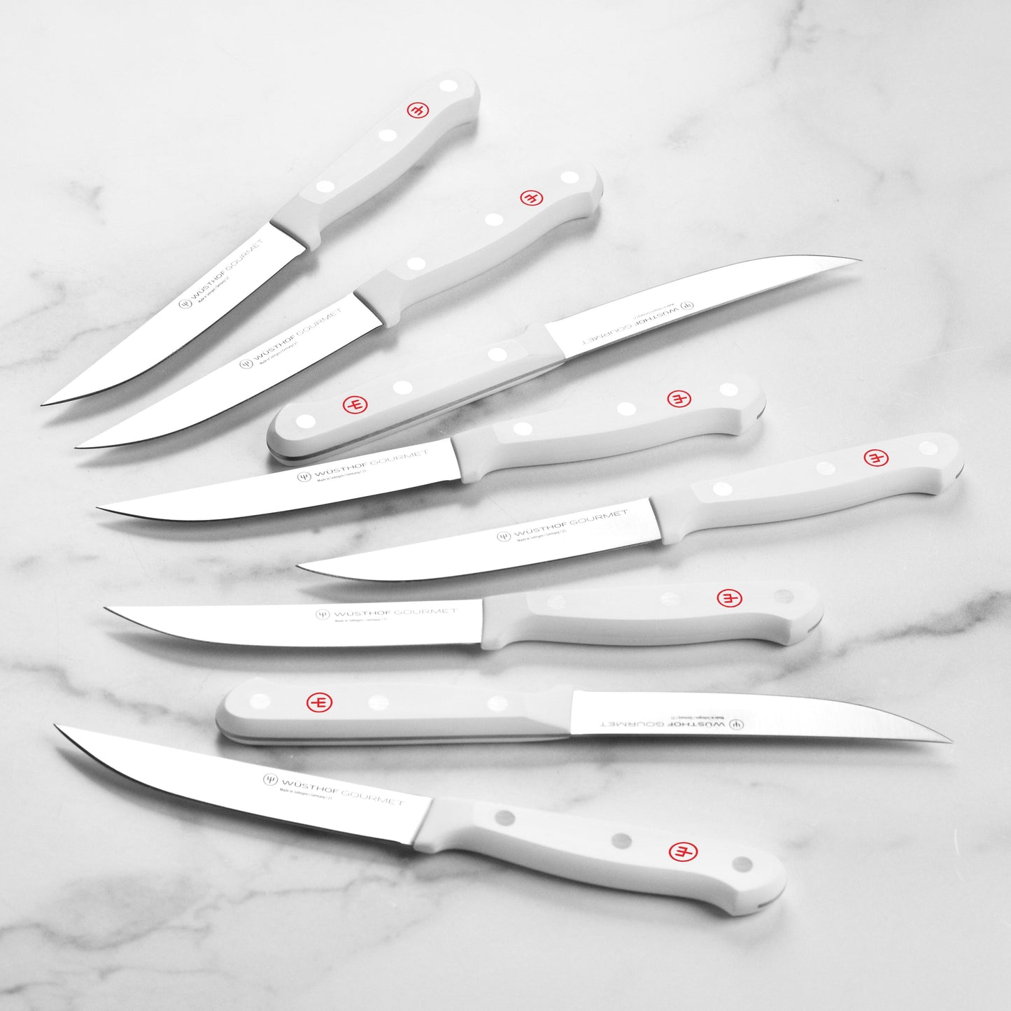 Wusthof Gourmet 8 Piece Steak Knife Set with Case, White Handles