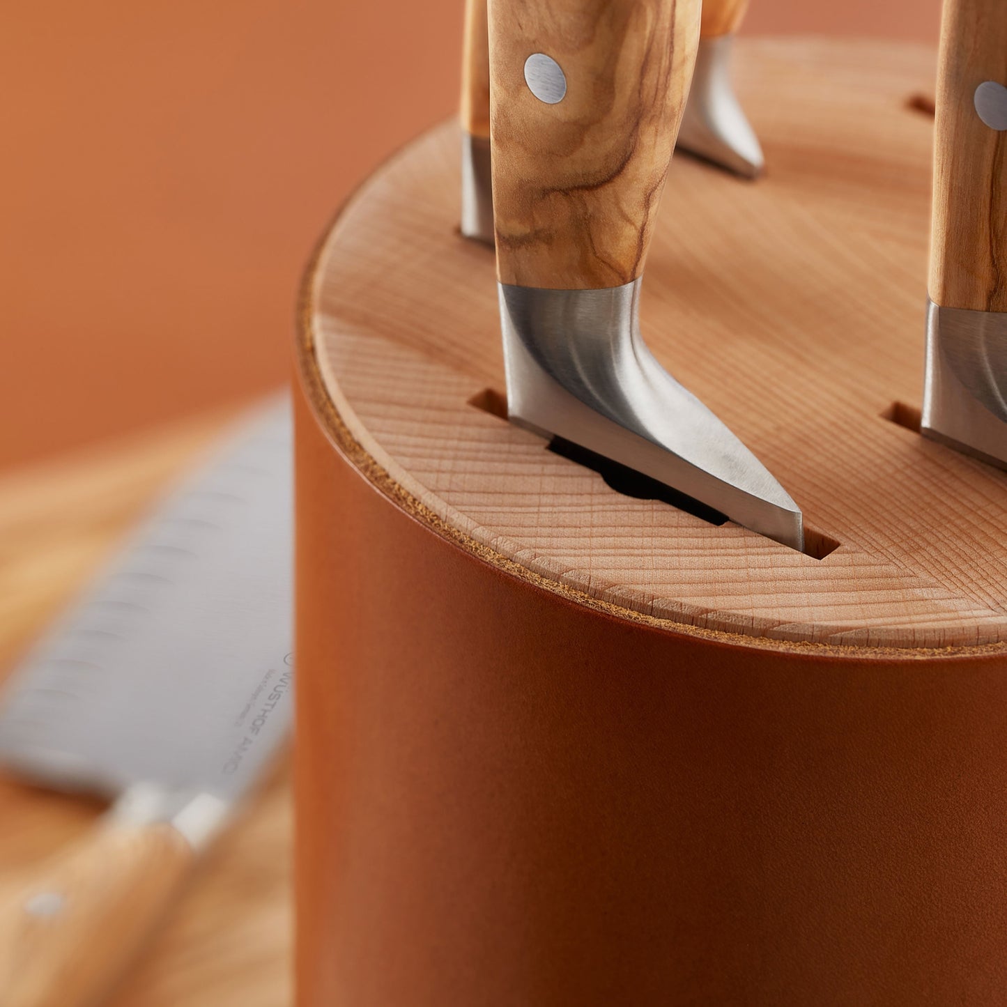 Wusthof Amici 6 Piece Knife Block Set