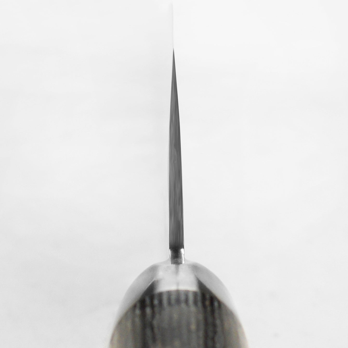 Yaxell Ketu SG2 6.5" Santoku Knife