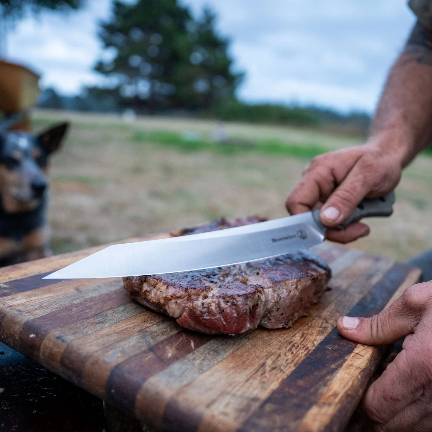 Messermeister Overland Chef Expedition 6 Piece Set