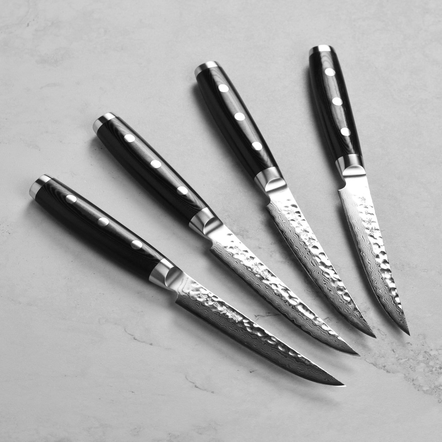 Enso HD 4 Piece Steak Knife Set with Case