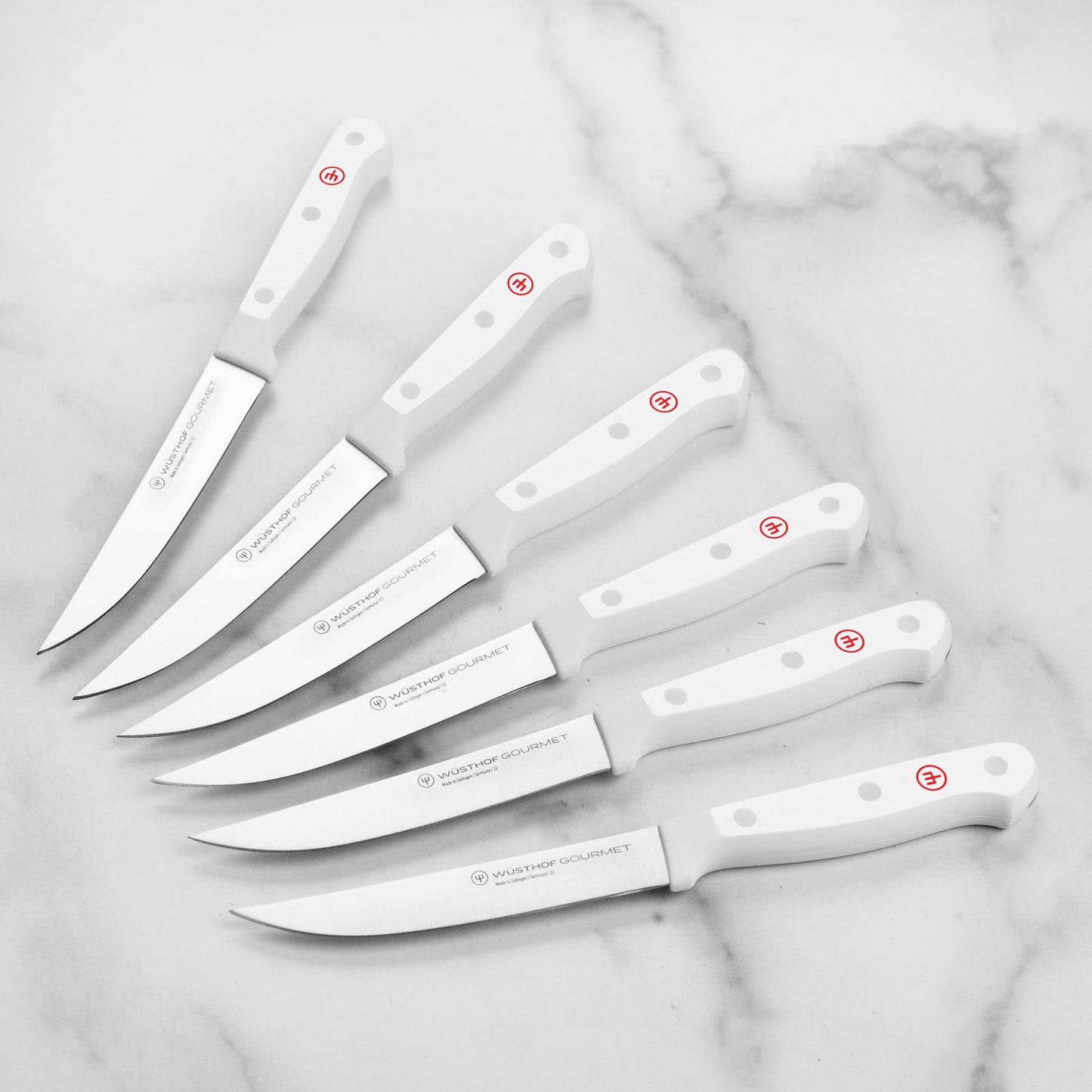 Wusthof Gourmet 6 Piece Steak Knife Set with Case, White Handles