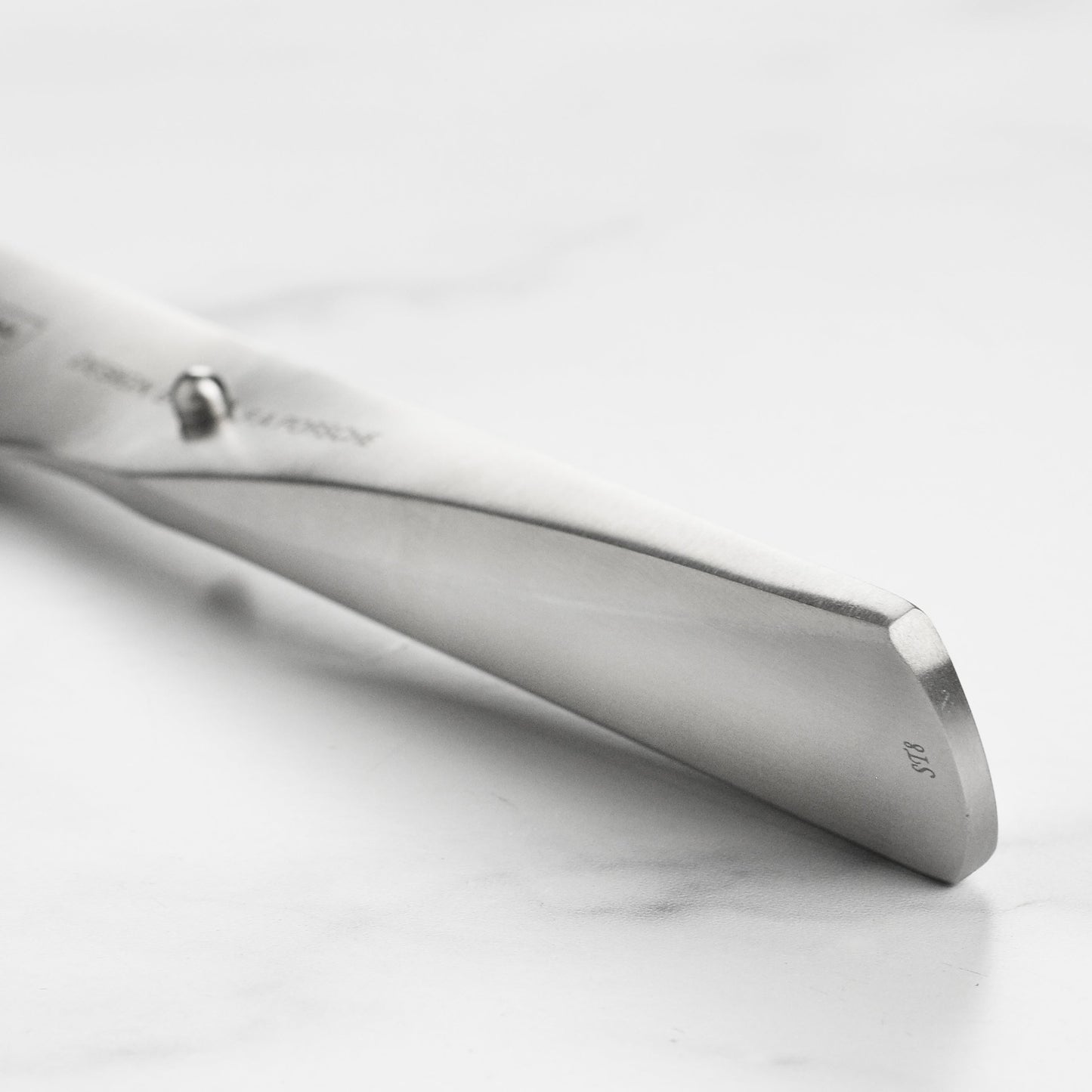 Chroma Type 301 9.75" Sashimi Knife