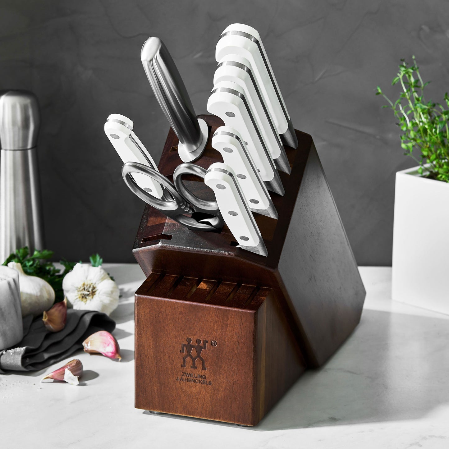 Zwilling Pro Le Blanc 4 Piece Steak Knife Set