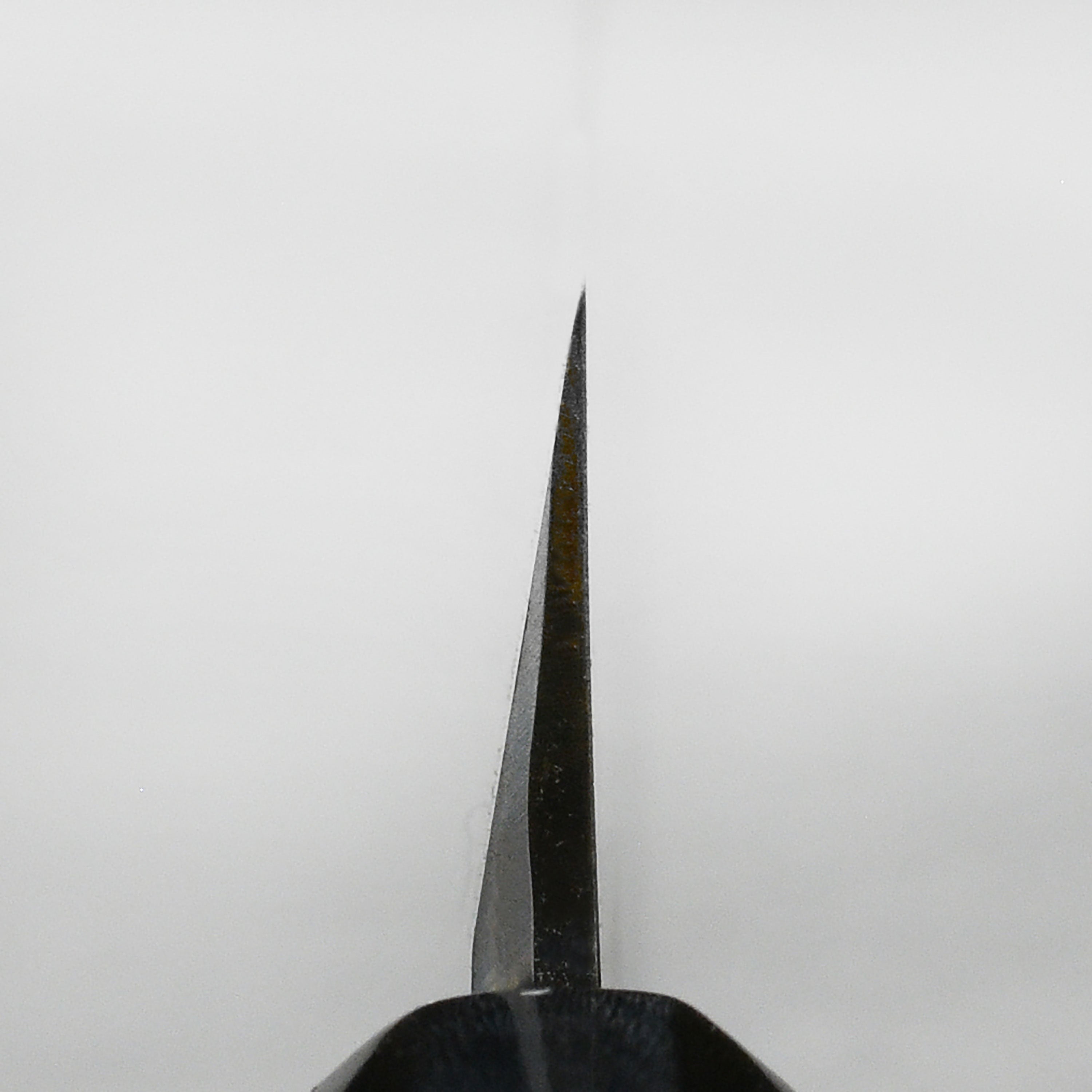 Ittetsu x Tanaka Shirogami #2 Single Bevel 10.6" Sakimaru Takohiki with Saya