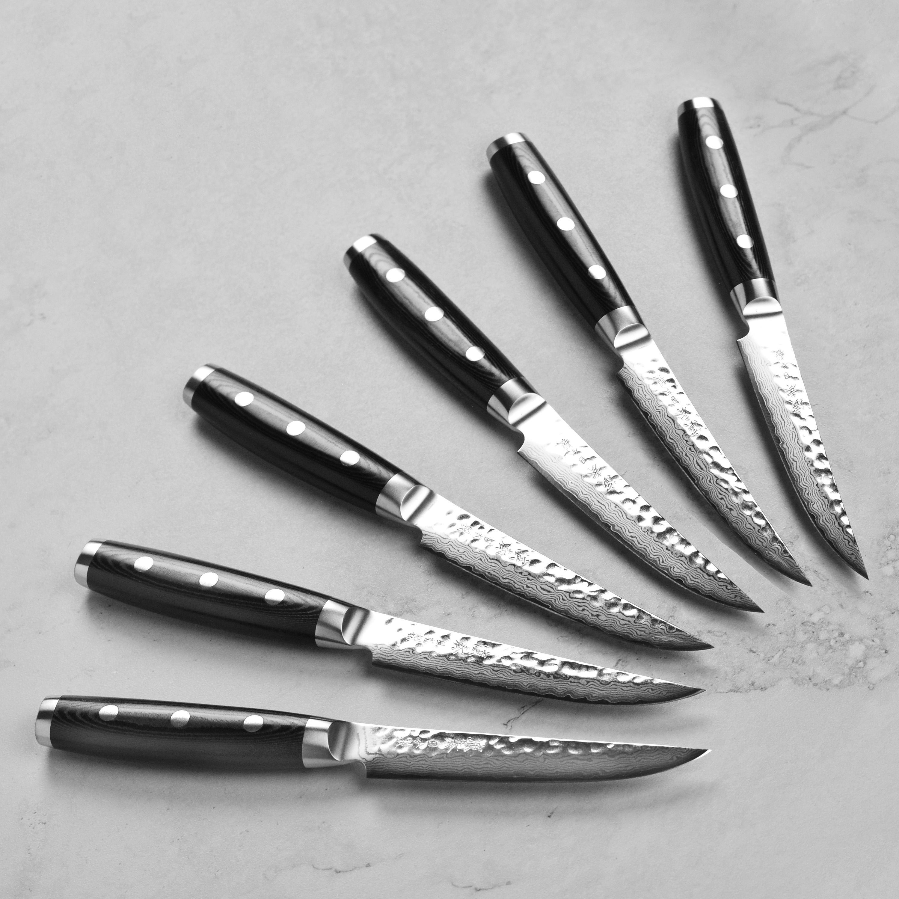 Enso HD 6 Piece Steak Knife Set with Case