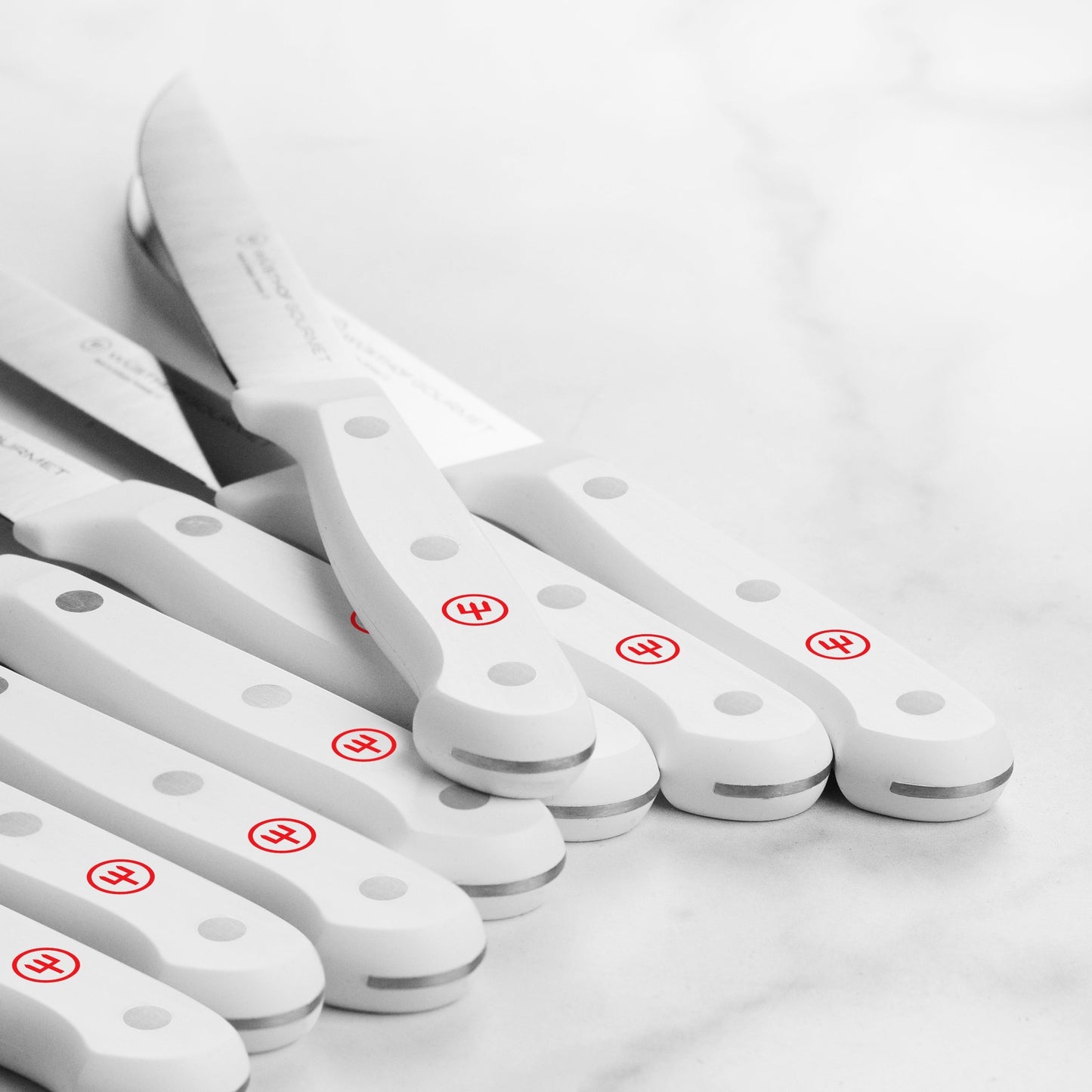 Wusthof Gourmet 8 Piece Steak Knife Set with Case, White Handles