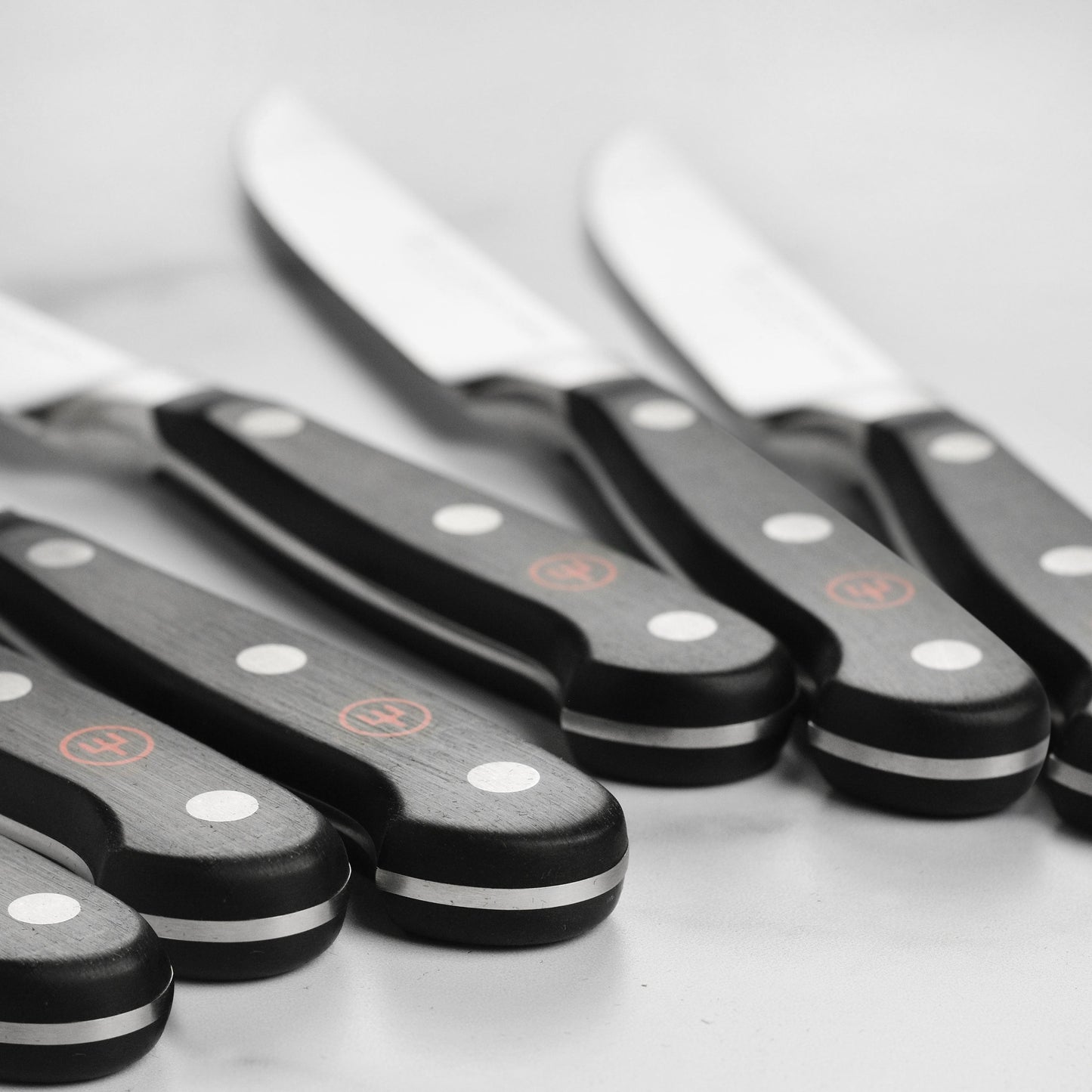 Wusthof Classic 6 Piece Steak Knife Set with Wood Case