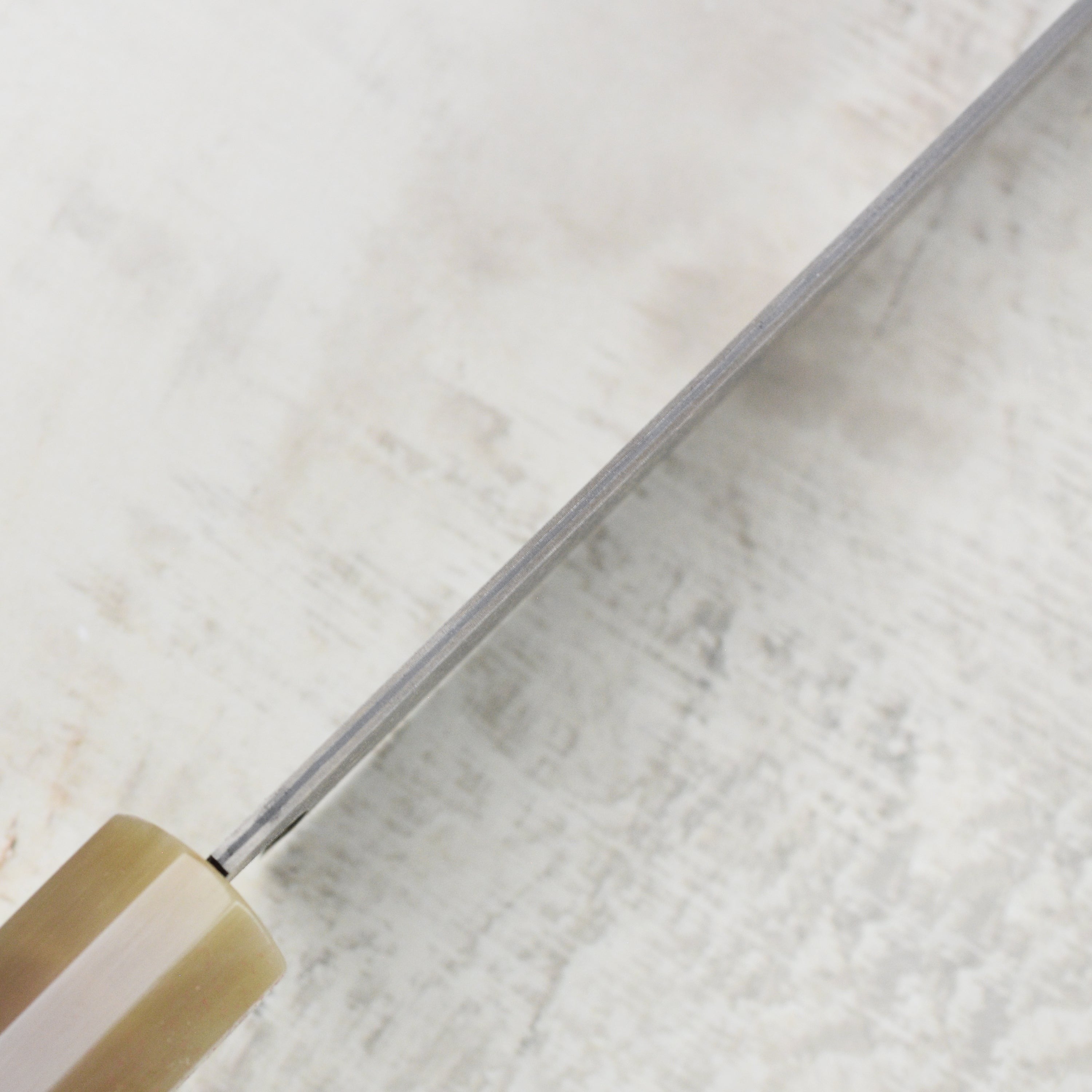 Saji Black Gold Damascus 6.5" Santoku, Quince Wood