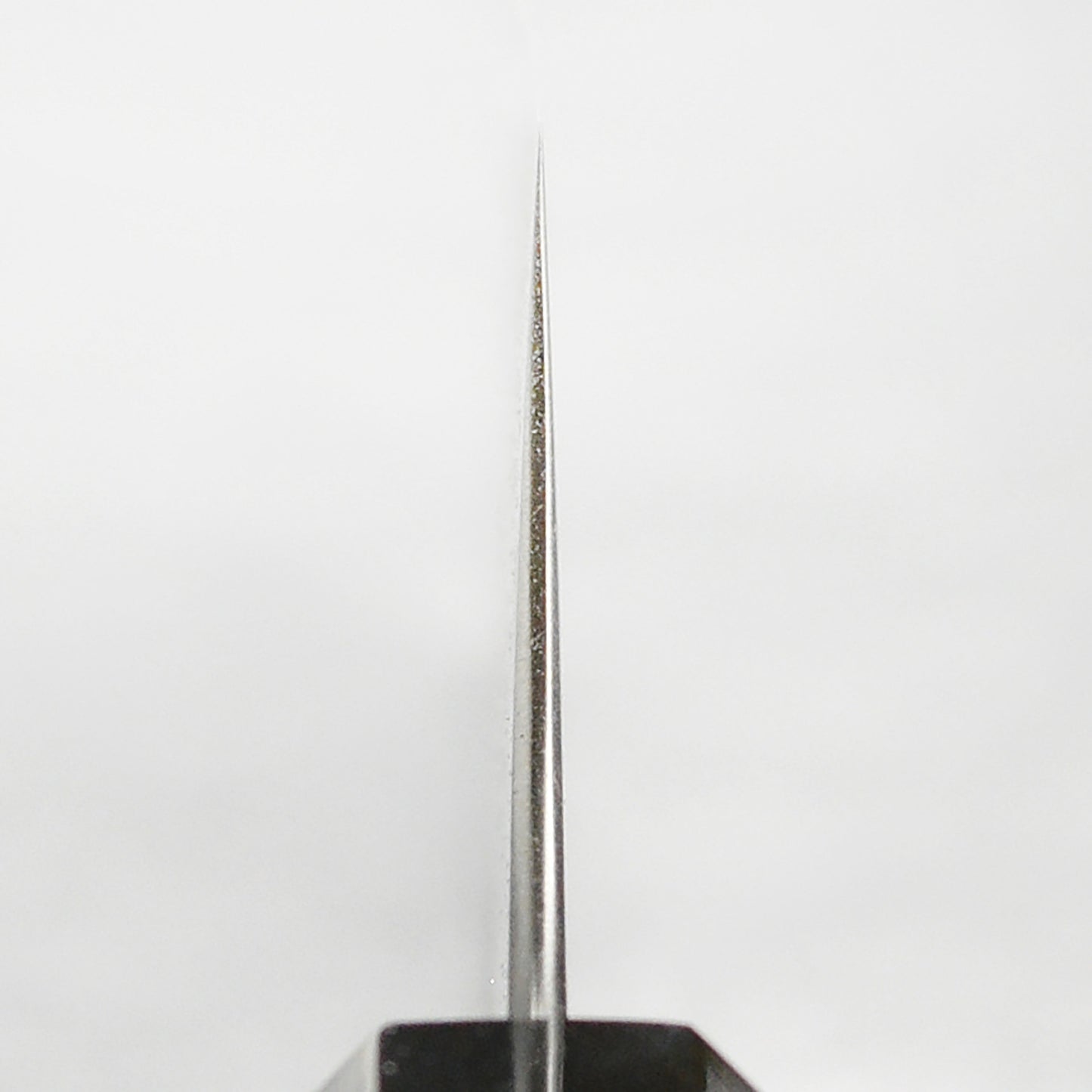 Hatsukokoro Hayabusa Aogami Super 8.25" Gyuto