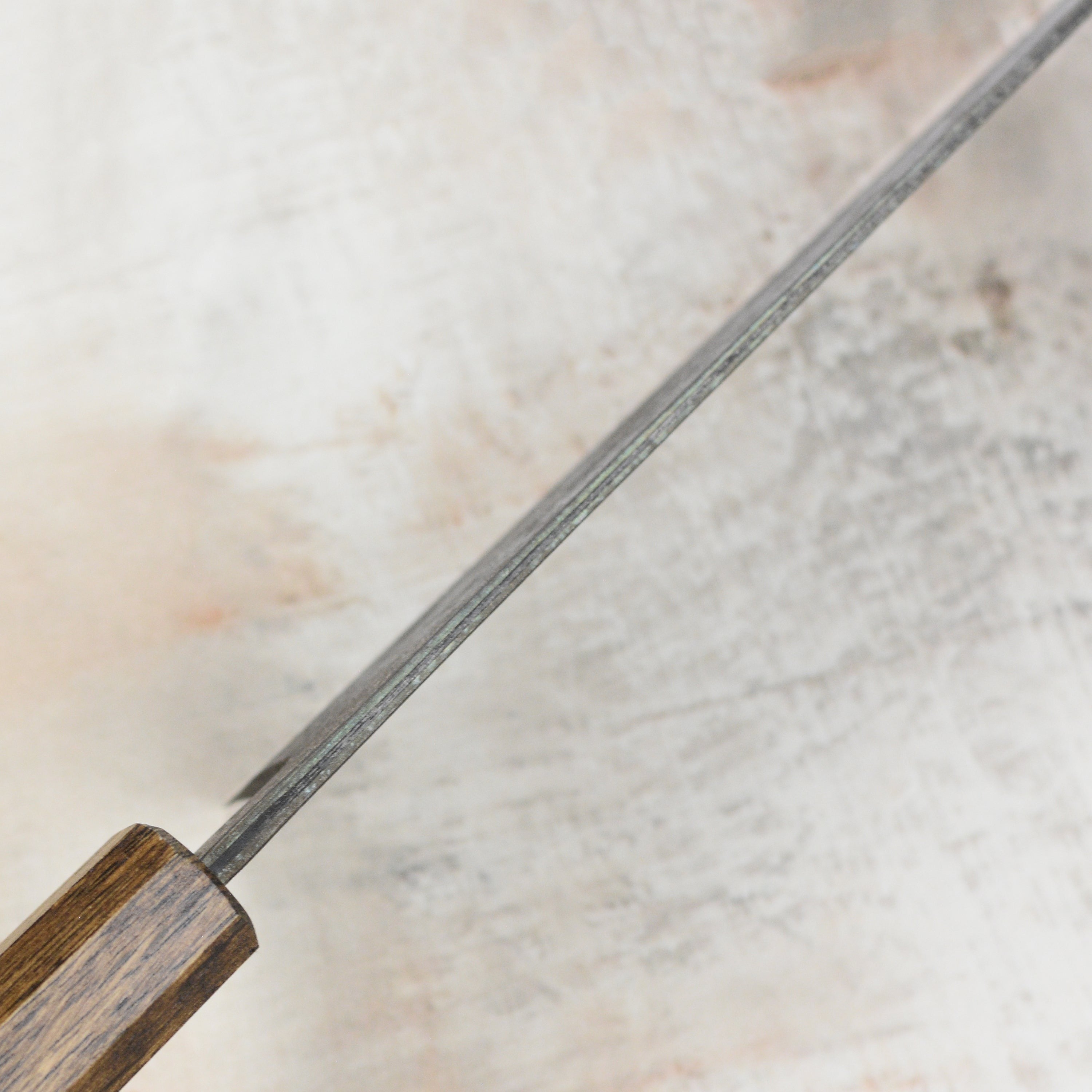 Shiro Kamo Aogami Super Kurouchi Stainless Clad 8.25" Gyuto