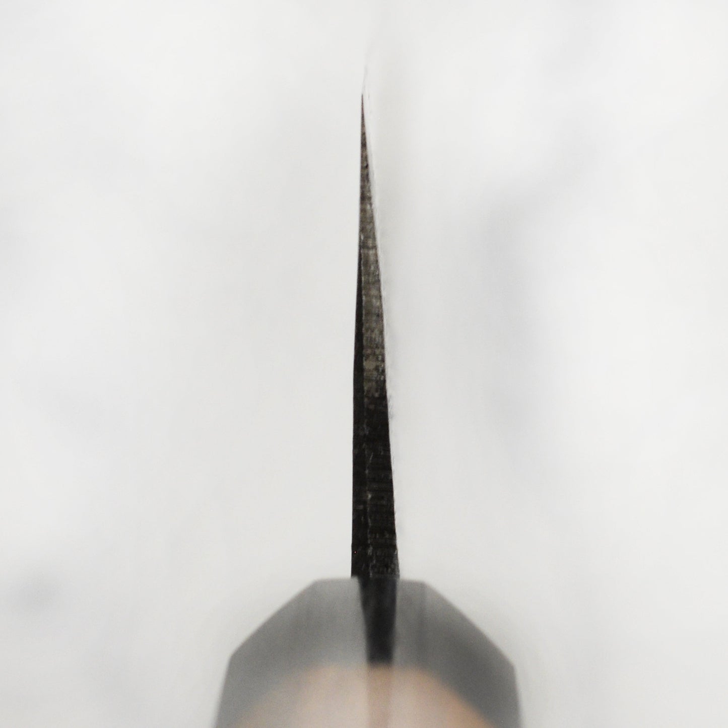 Takayuki Aogami Kurouchi 9.4" Gyuto